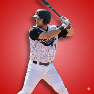 Baseball Button Down Jersey with Sewn-on Numbers